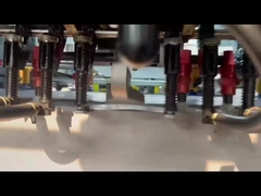 MYP-800H Otomatik Öldürme Kesme ve Çöpleme Makinesi