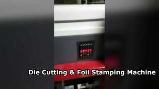 Yüksek Basınçlı Kalıp Kesim ve Folyo Baskı Makinası