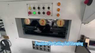 JIGUO TMY-800H Otomatik Kalıp Kesme ve Folyo Damgalama Makinesi