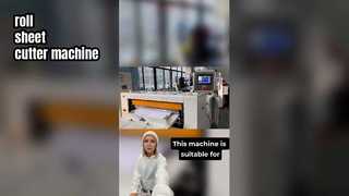 ZWC-1100D Otomatik Rulo Sac Kesici Makinesi Paketleme için Yüksek Hassasiyetli Kağıt Kesme Ekipmanı